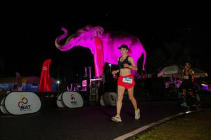 BIB: 
                            <button type="button" onclick="openModal(26543691)" class="btn btn-primary btn-sm float-right btn-popup" data-toggle="modal" data-target=".modal-high-quality">
                        <i class="fas fa-shopping-cart"></i> Add to Cart
                    </button>
                                            <button type="button" onclick="isThisMe(26543691, true)" class="btn btn-success btn-sm float-right btn-popup btn-isme hidden" data-toggle="tooltip" data-placement="bottom" title="นี่คือรูปของคุณใช่ไหม คลิกที่นี่เพื่อเอาเข้าอัลบั้ม">
                        <i class="fas fa-plus"></i> Add to album
                    </button>
                    <button type="button" onclick="isThisMe(26543691, false)" class="btn btn-warning btn-sm float-right btn-popup btn-isnotme hidden">
                        <i class="fas fa-ban"></i> Remove from album
                    </button>